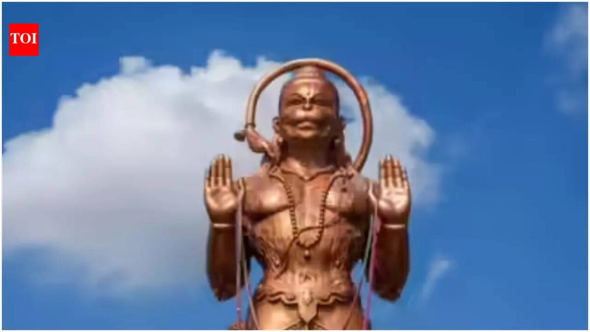 'Stop the invasion and deport them': Internet reacts after Texas activists target Hanuman temple, say 'Third world aliens are slowly taking over America'