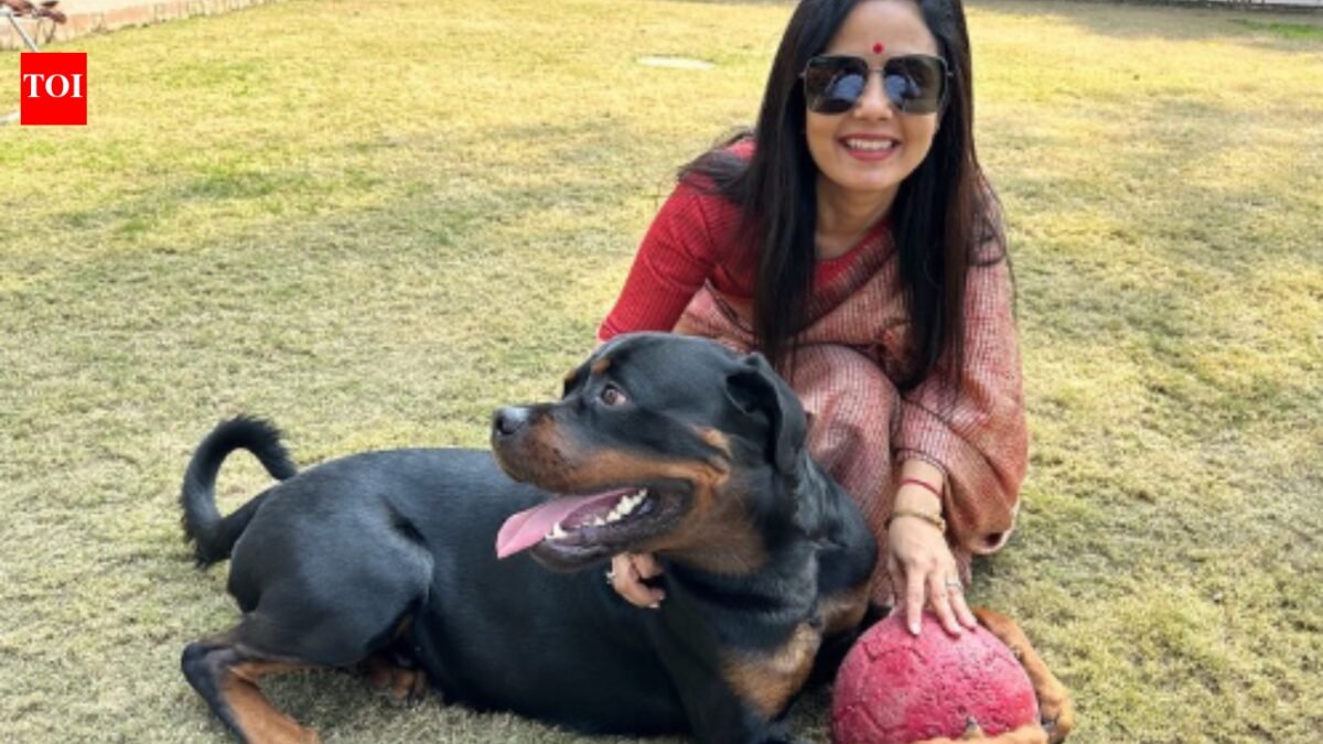 TMC MP Mahua Moitra moves Delhi High Court against ex-partner seeking custody of pet Rottweiler 'Henry' News India