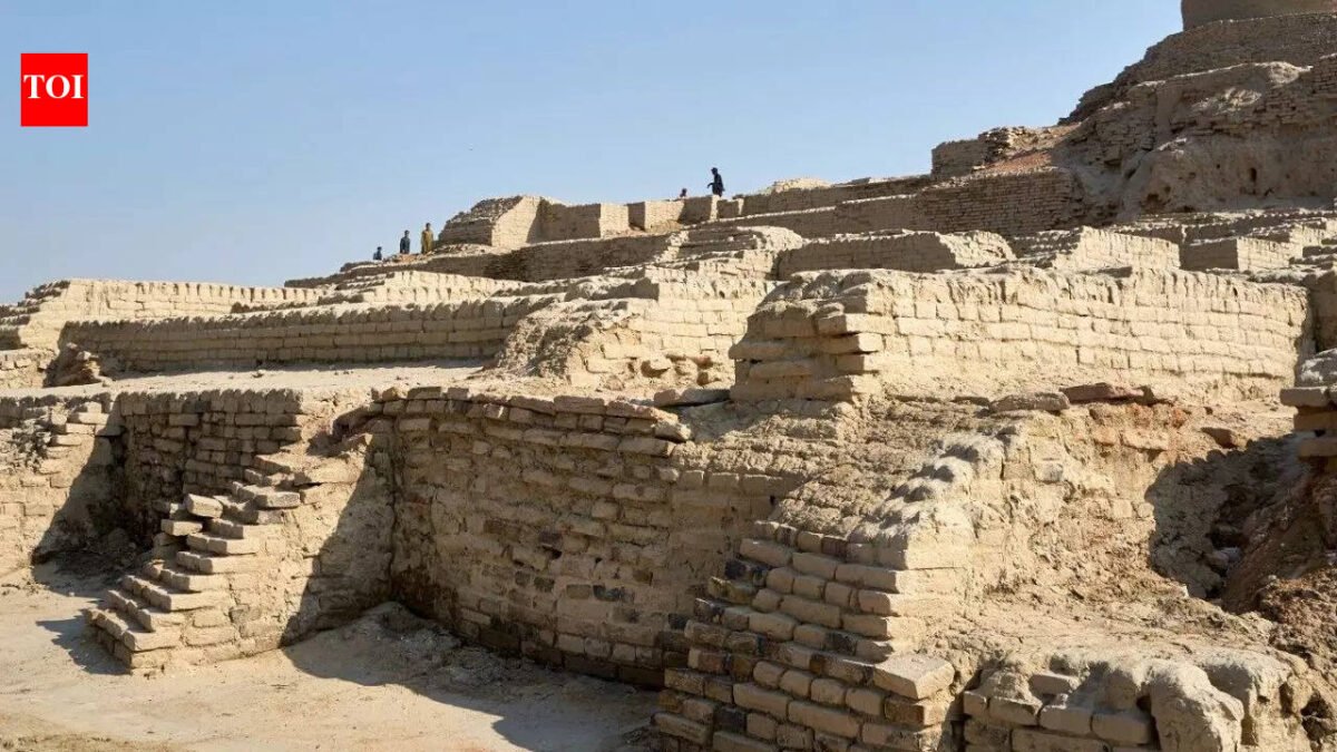 The 8,000-year-old Indus Valley Civilization may be older than the first Egyptian pharaoh World News