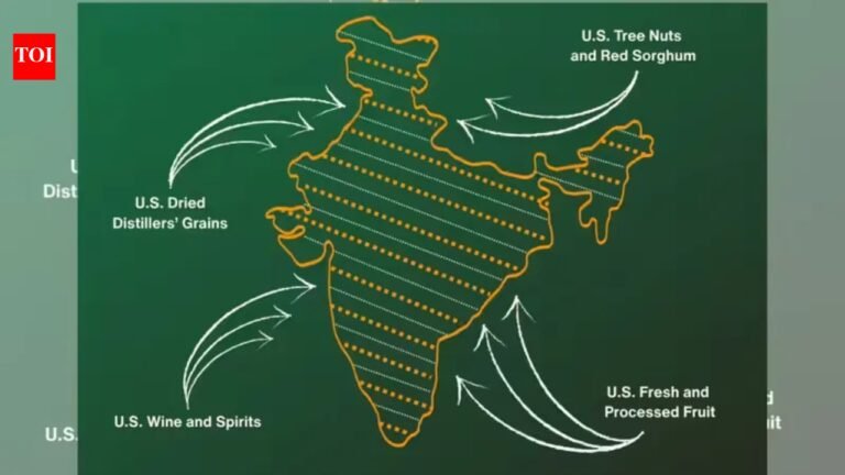 The art of the deal drawn in ink: Trump’s map makes India an anchor