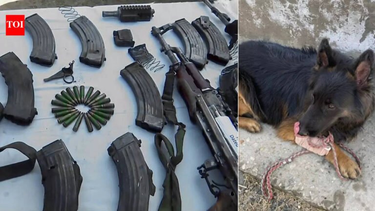 Tyson: Four-legged Army hero who leads counterterrorism operation in J&K despite being shot; Op Trashi-1 neutralizes all 7 terrorists | India News