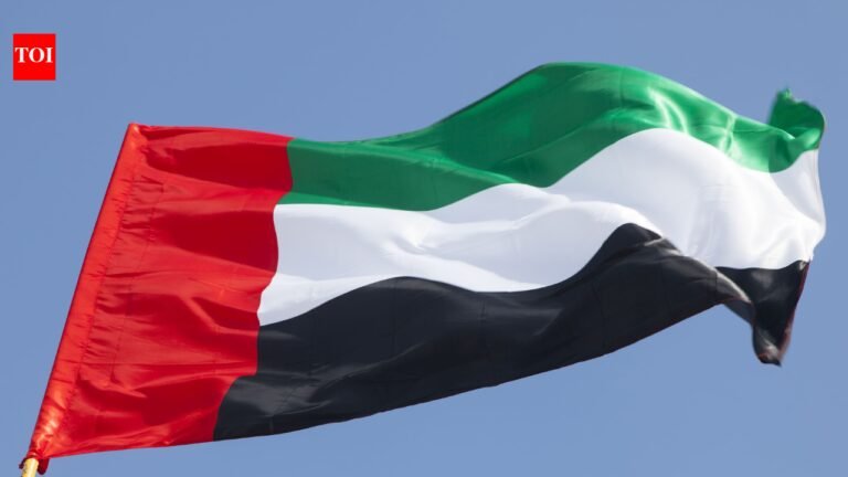 UAE launches three-year academic calendar: Key dates, mid-term breaks and final classes explained | World News