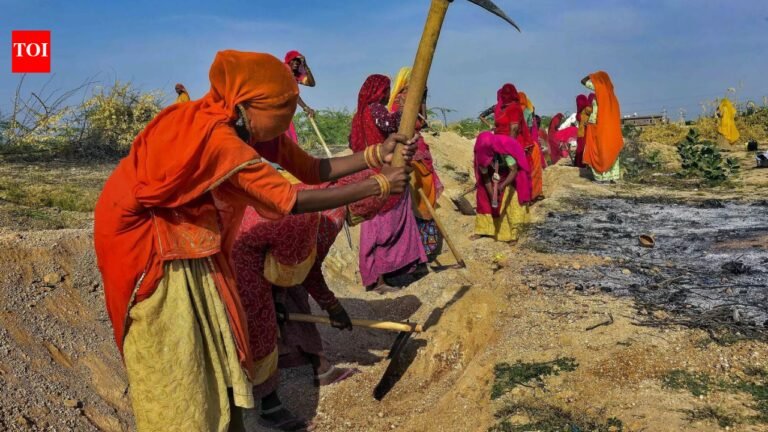 Unemployment rate among people aged 15 and above falls in rural and urban areas in October-December: PLFS | India News