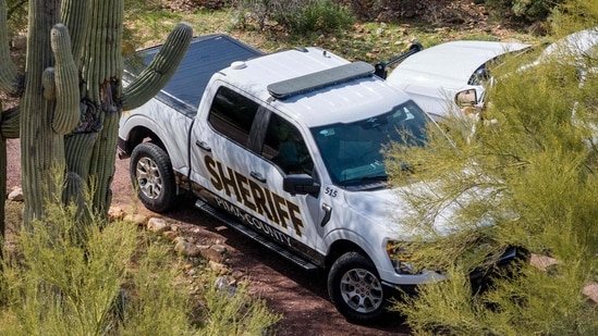 Was-Nancy-Guthrie-imprisoned-there-Pima-County-Sheriff-Speaks-Out.jpg Cricket in L1