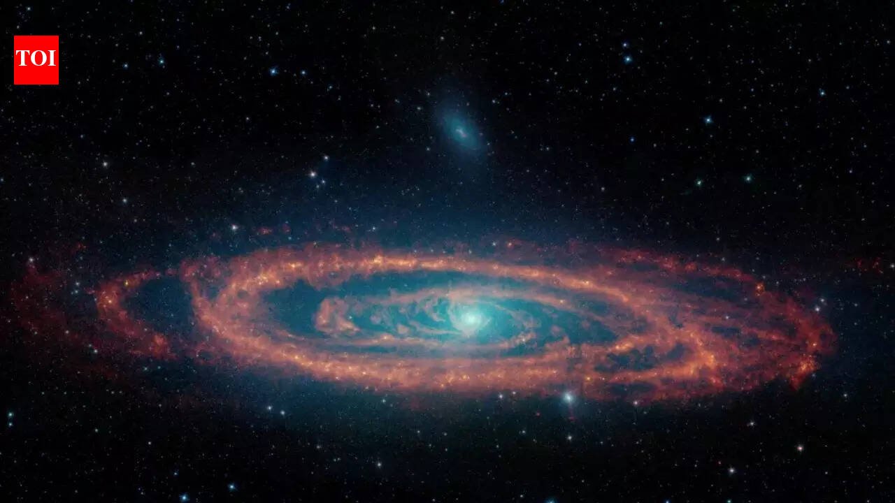Water and oxygen not enough: Scientists reveal two 'must-have' ingredients for life on other planets