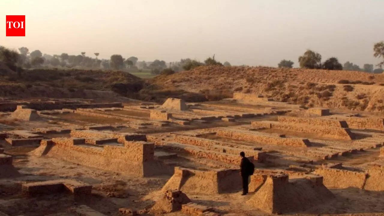 What exactly destroyed the Indus Valley? It's not a war, it's a slow death from drought | World News