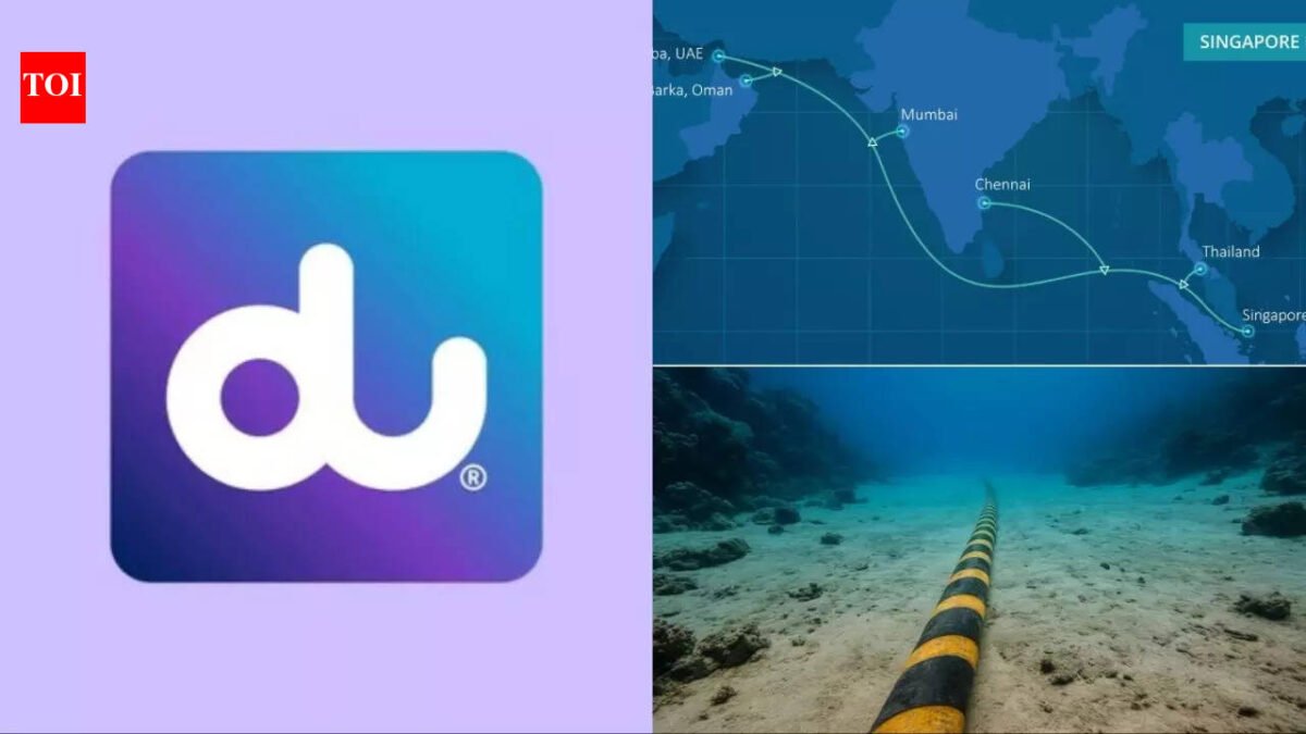 What is the Singapore-India-Gulf submarine cable system invested by UAE du for high data connectivity?