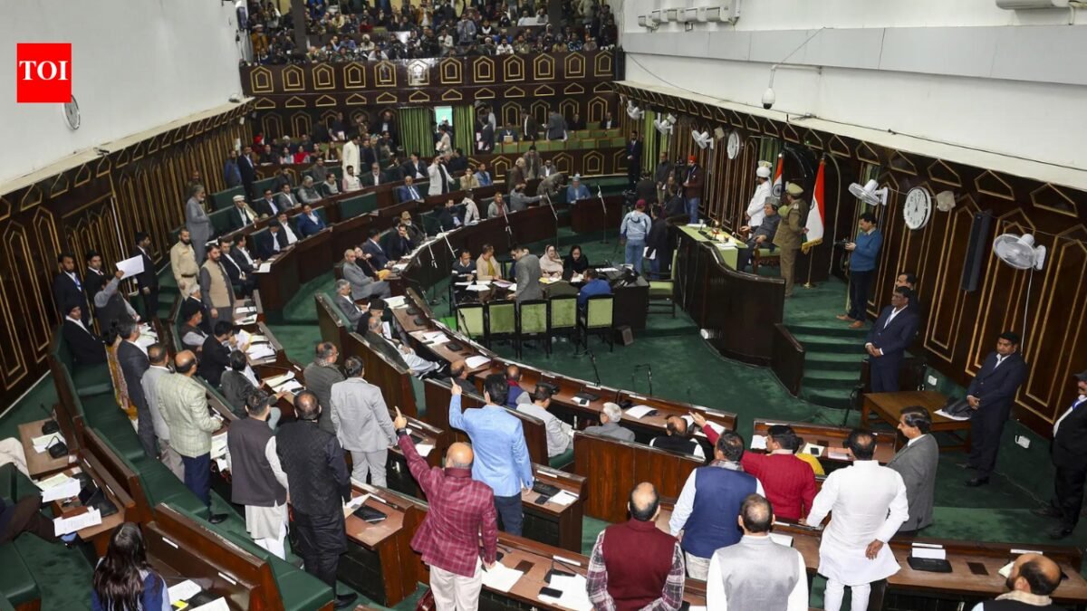 Young J&K MLA's House speech wins bipartisan praise | India News