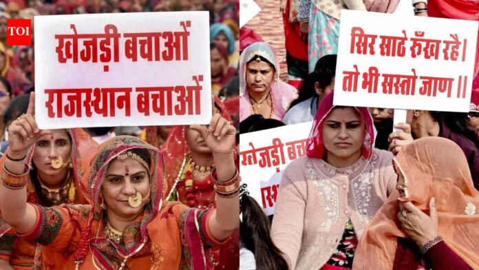 ‘Khejri Bachao Andolan': Why Rajasthan is rallying to protect its ‘Kalpavriksha’? Explained | India News