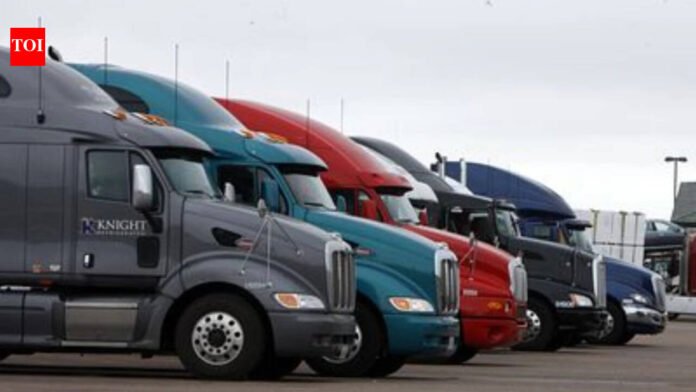 $1,000 fine, 90 days in jail: Non-English speaking truck drivers in Wyoming may now be punished by police under new law

