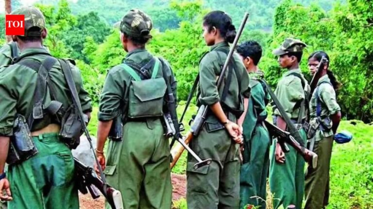 11 Maoists offered Rs 6.3 million reward for surrender