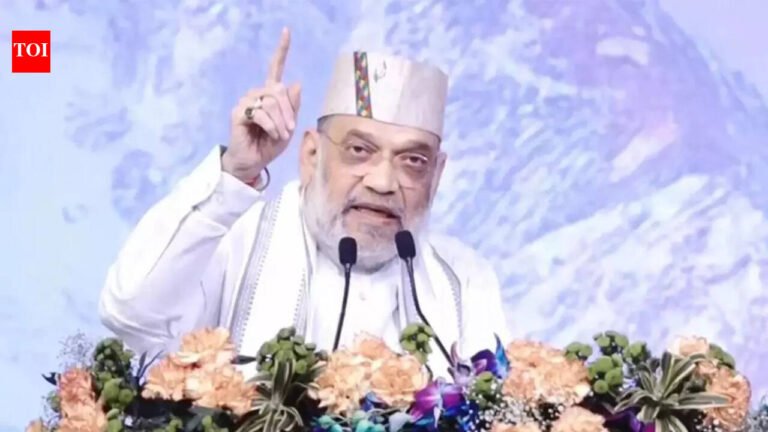 Amit Shah steps up efforts to keep infiltrator issue at the forefront