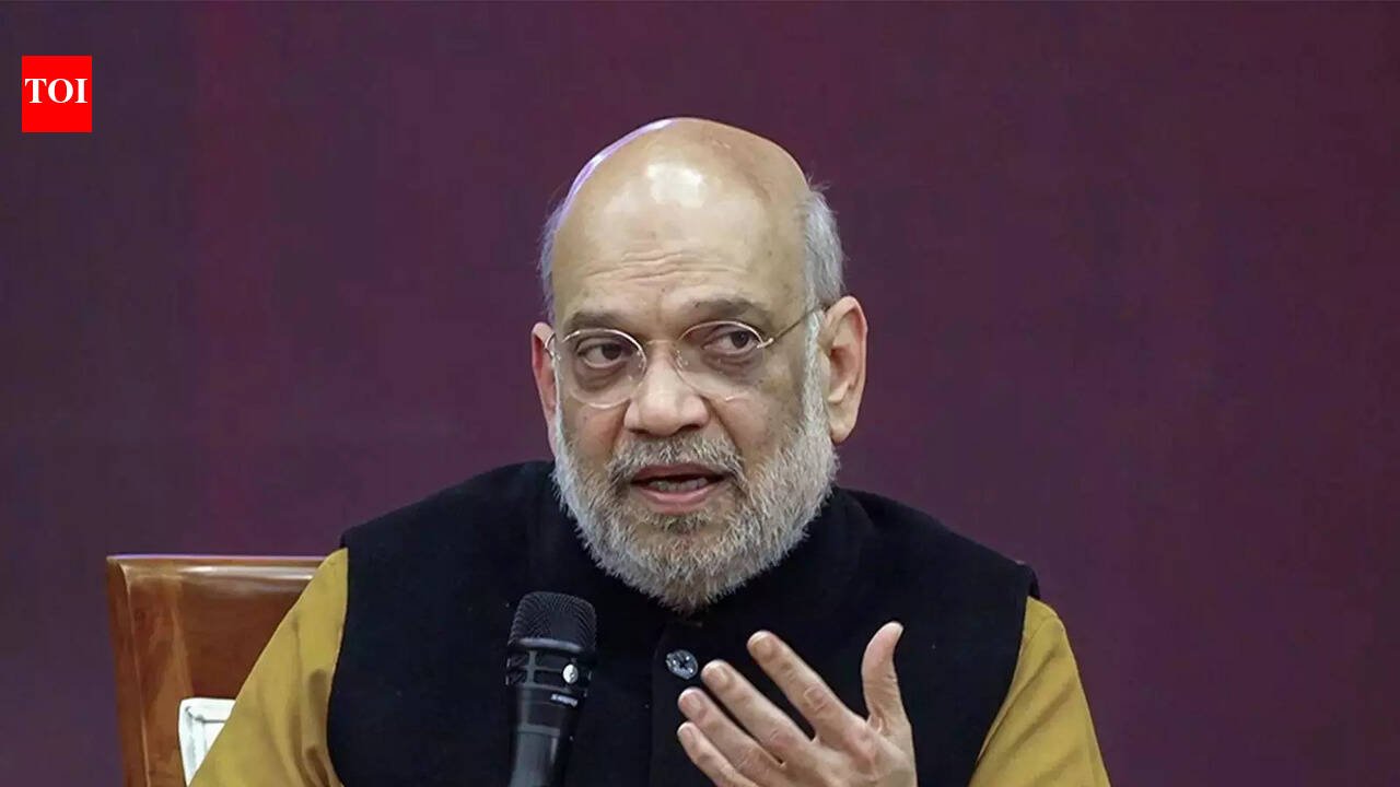 Amit Shah unveils mascots 'Pragati' and 'Vikas' for India's first digital census