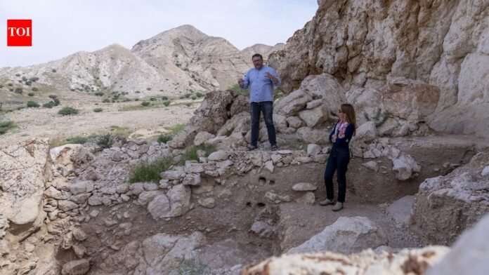 Ancient human habitation unearthed: 125,000-year-old settlement discovered at Buhays rock shelter in Sharjah | World News

