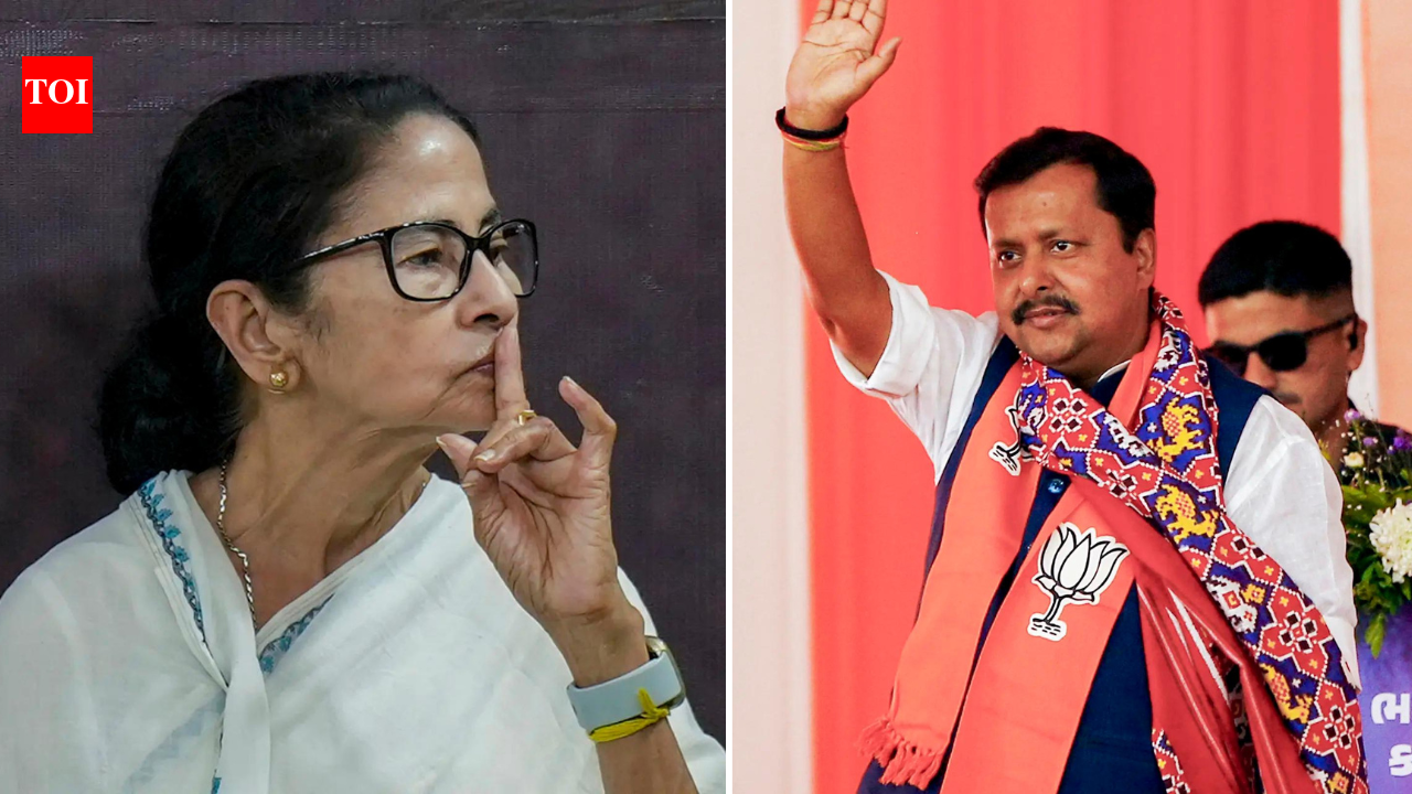 'Anti-Bengali party': Mamata, BJP locked in row over puja pandal permission issue