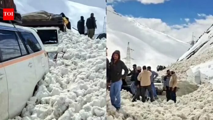 Avalanche in Zojila Pass, Ladakh: 7 killed, 5 injured; Srinagar-Leh highway blocked

