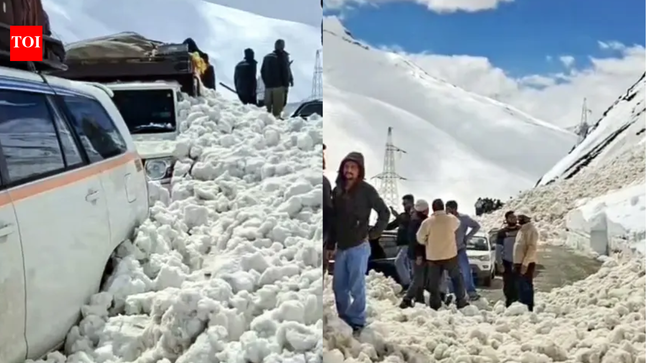 Avalanche in Zojila Pass, Ladakh: 7 killed, 5 injured; Srinagar-Leh highway blocked