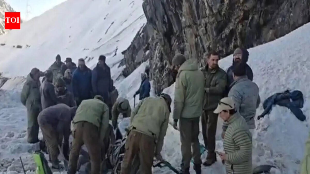 Avalanche in Zojila Pass buries many cars, killing 7 people