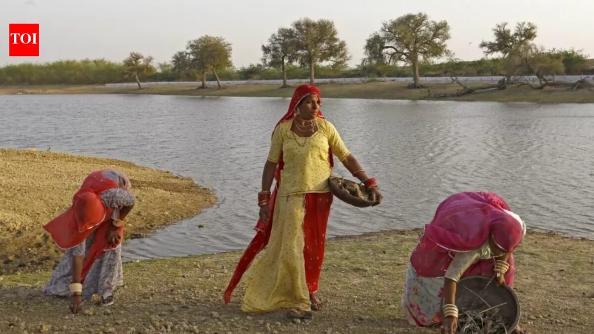 Blue Sari Brigade: Women at the heart of India's water system