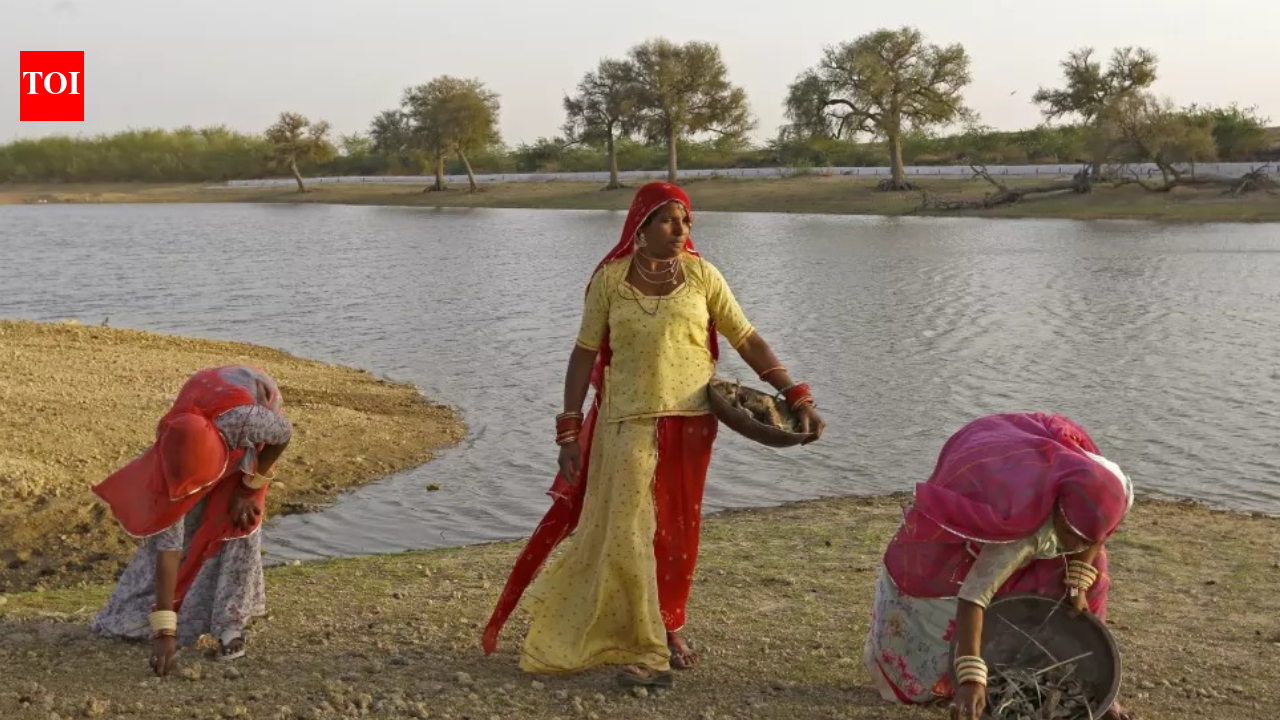 Blue Sari Brigade: Women at the heart of India's water system