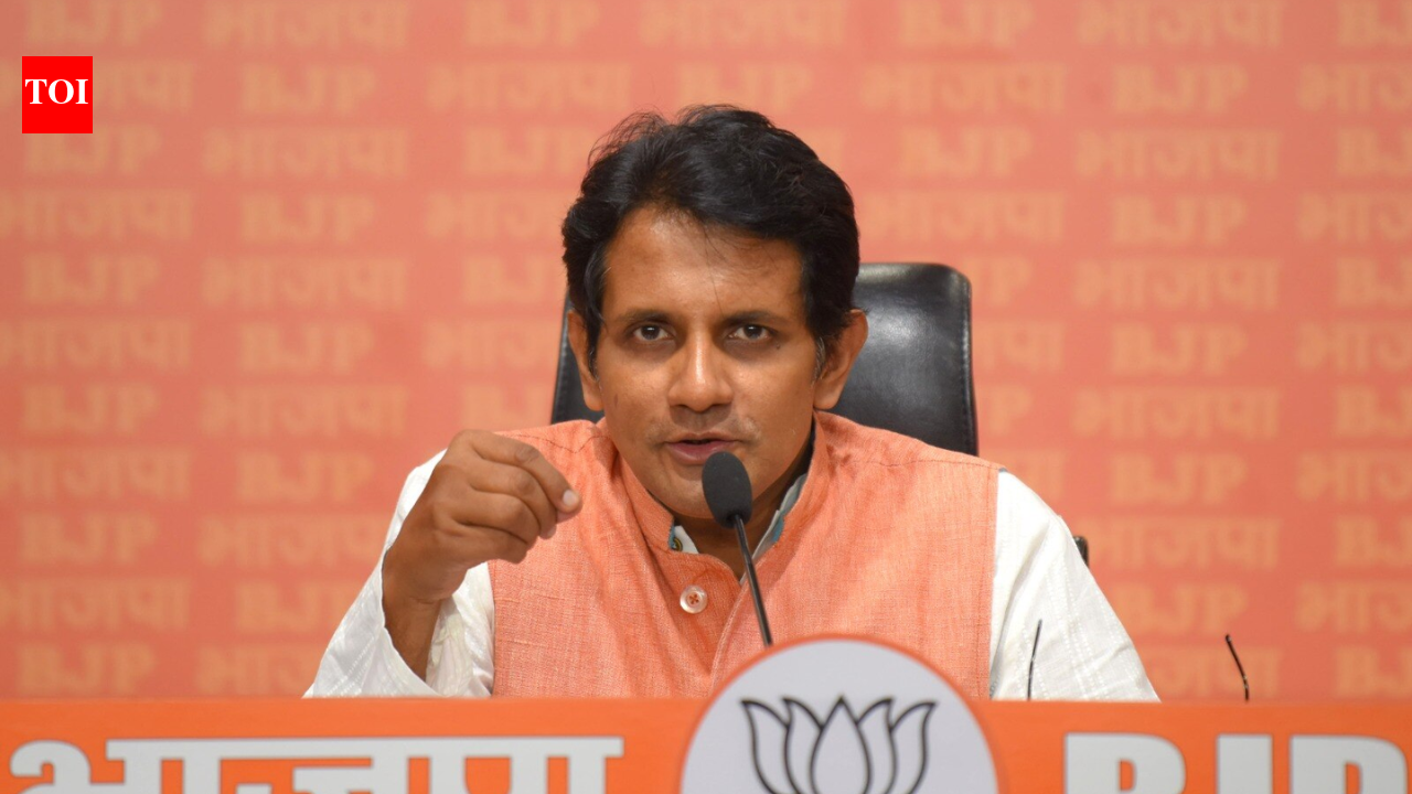 'Cannot survive without terrorism': BJP reacts to ex-Pak envoy's remarks attacking India