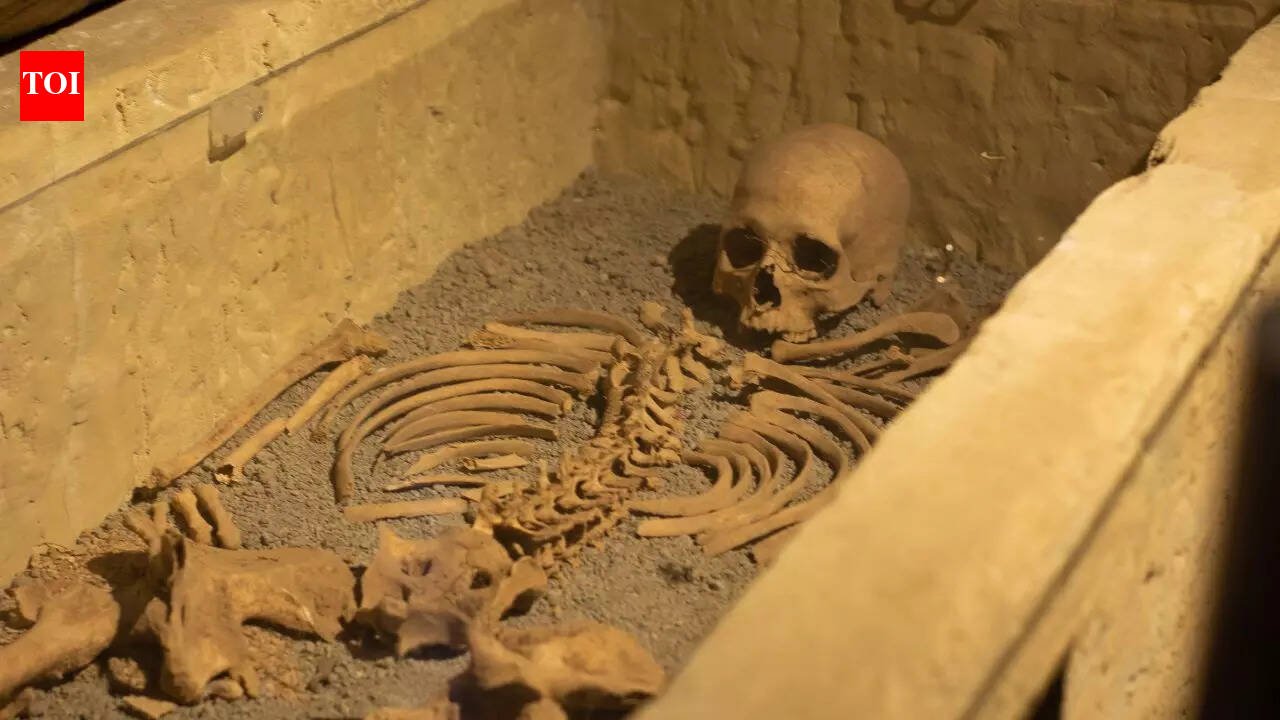 Coffin falling from the sky: The 1900 mystery of "Princess Bagiz" | World News