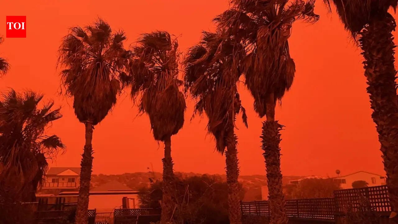 Cyclone Narrel turns Western Australia skies blood red in rare dust storm event: What causes the eerie crimson glow and how it happens | World News
