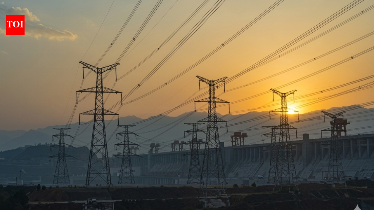 Delhi, Noida power distribution companies top performers in government survey