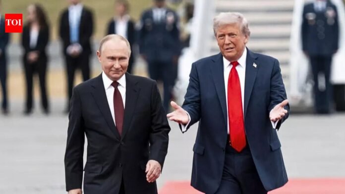 Did Trump reject Putin's Iran war deal? What is the quote

