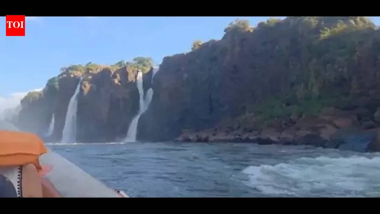 'Disgusting India-India slogan': Professor says he was embarrassed when 'Delhi bros' caused riot at Iguazu Falls