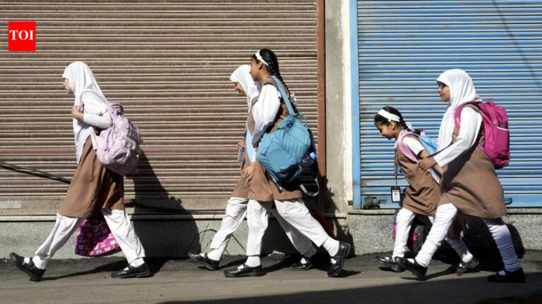 Drone incursions at Line of Control force Kashmir schools to close till March 3