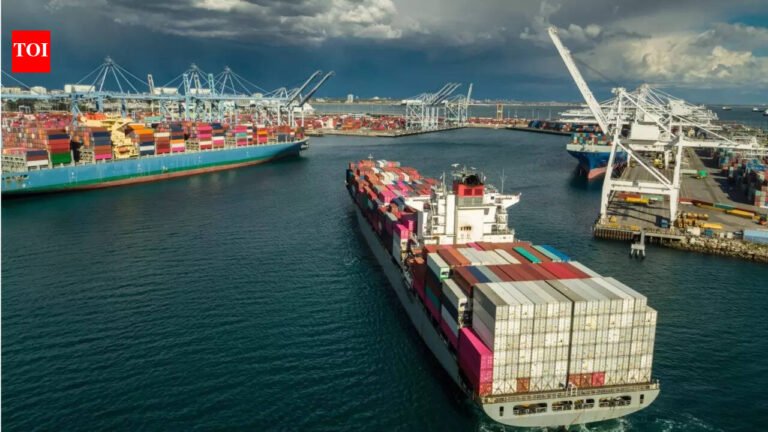 Dubai-Oman green corridor comes online: UAE opens new routes to speed up sea and air cargo movement