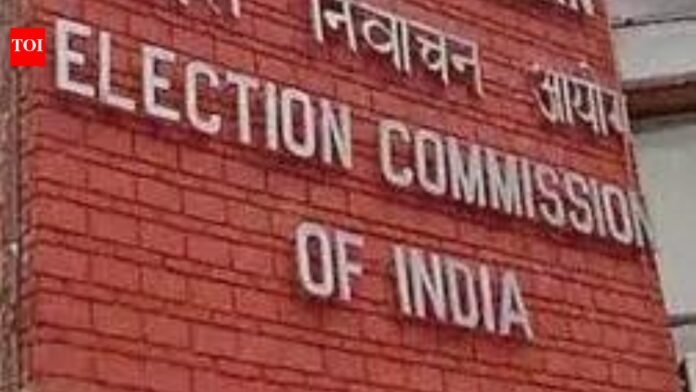EC forms 19 appeals tribunals to hear SIR cases

