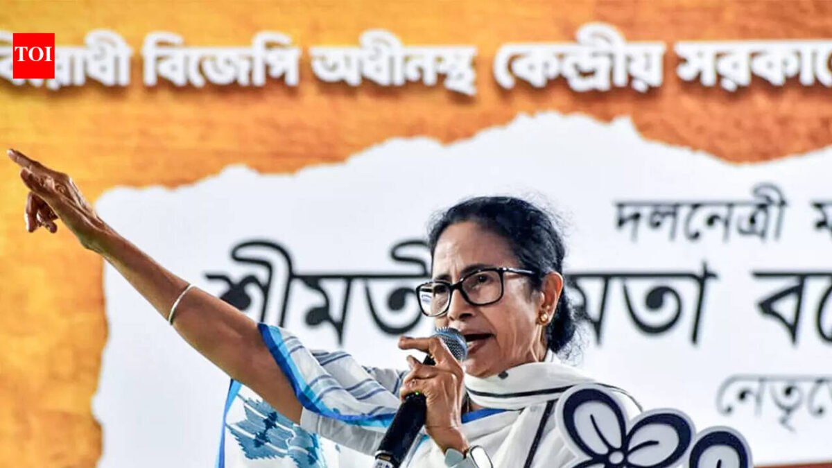 EC seeks report from CEO on Mamata's 'provocative' remarks