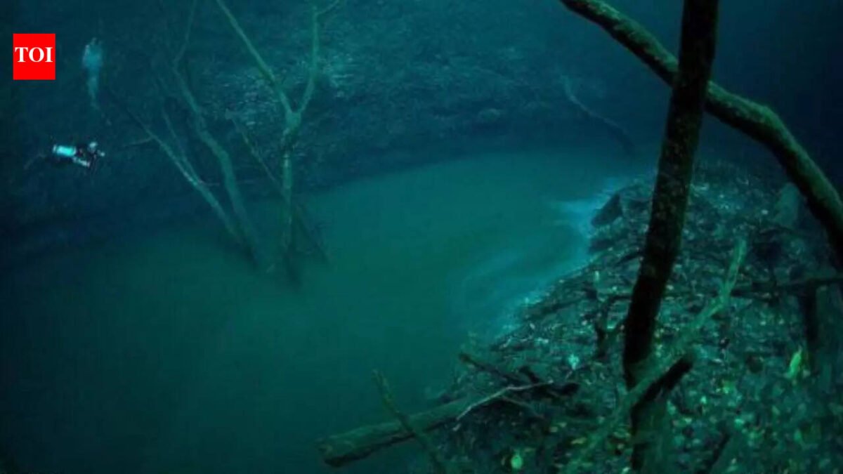 Earth's 'sixth largest river' hides 115 feet beneath the Black Sea |