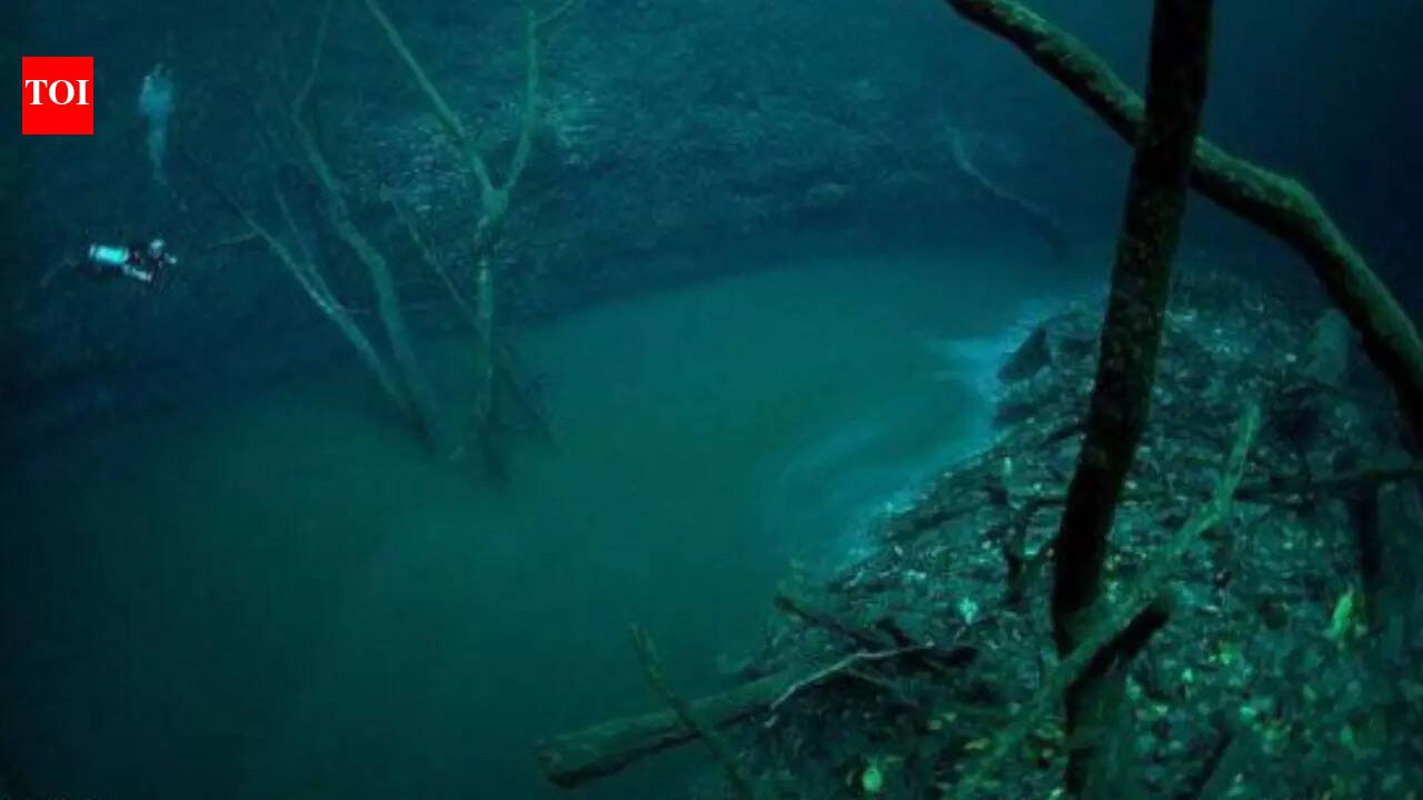 Earth's 'sixth largest river' hides 115 feet beneath the Black Sea |