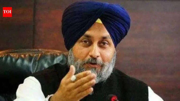 Every party has the right to decide alliances: Sukhbir Badal says BJP will go alone in 2027 Punjab polls