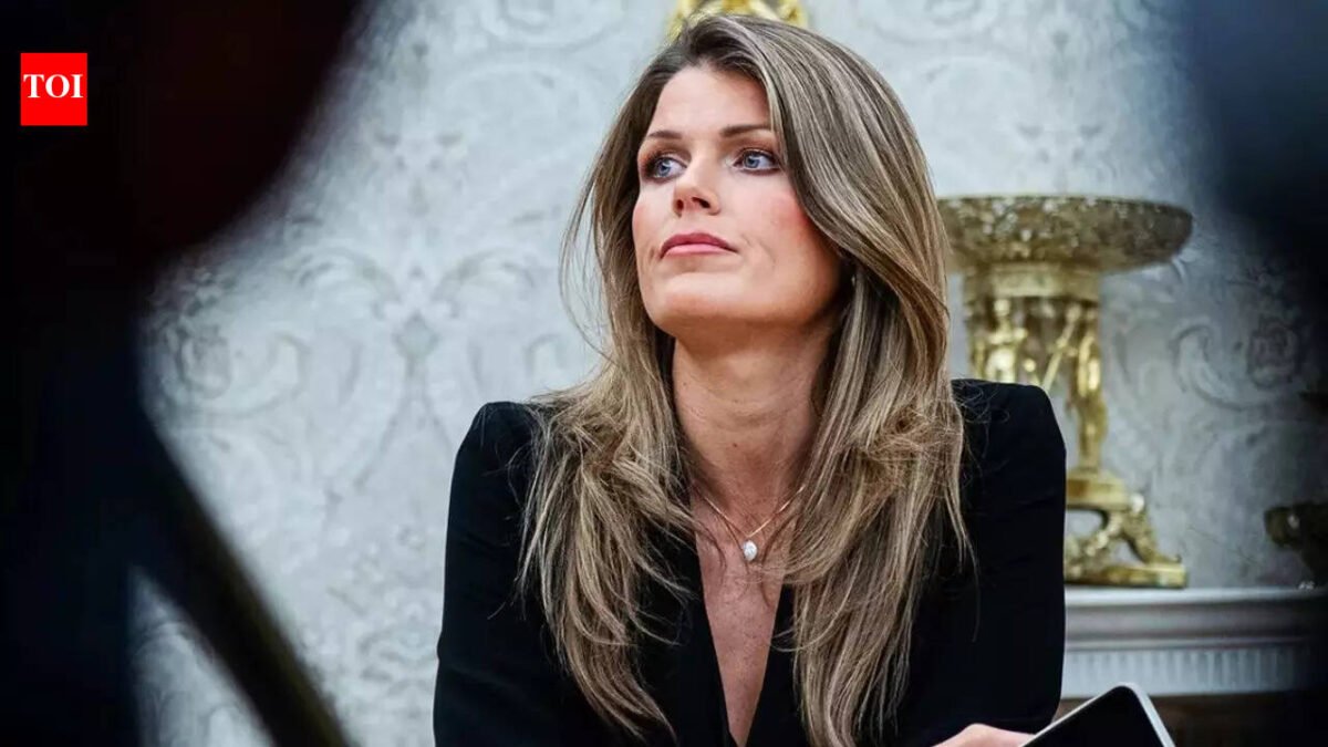 Florida Bar investigates Lindsay Halligan: Why Trump's 'beauty queen' US lawyer could lose law license World News