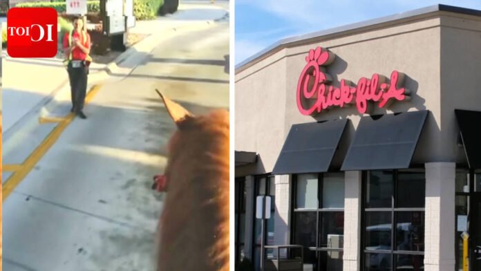 Florida man rides horse past Chick-fil-A drive-in, video goes viral: 'Gas prices must be crazy'

