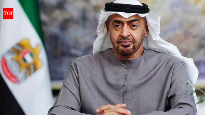'Forgive us': UAE President Mohamed bin Zayed Al Nahyan sends emotional message amid Iran, US-Israel war

