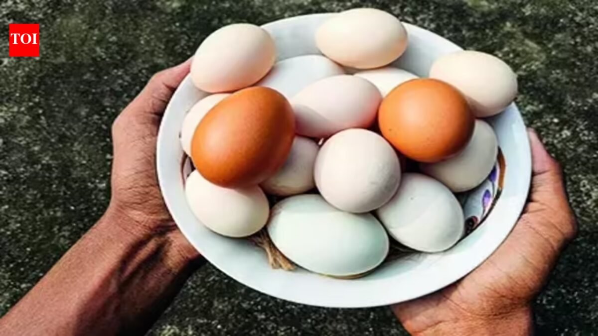 From April 1, UP egg producers must stamp expiry date