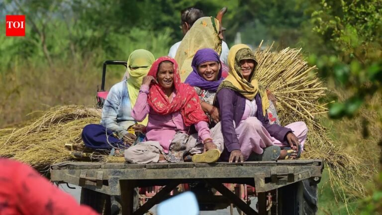 From SHGs to drone technology: Inside India’s ongoing push for women’s economic empowerment