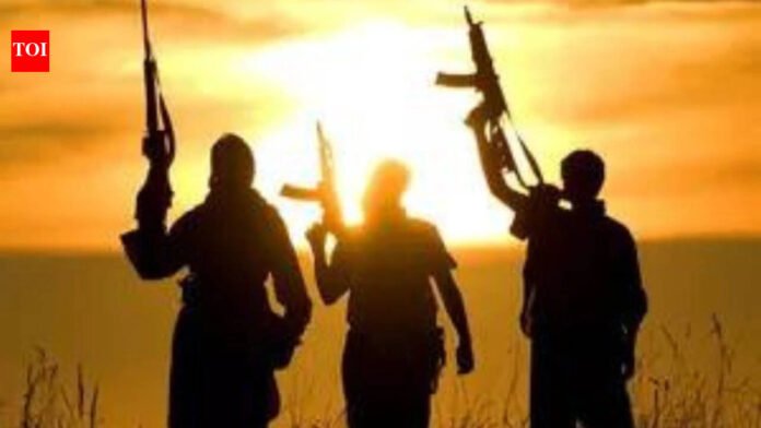 Global Terrorism Index 2026: Map in report shows Jammu is part of China

