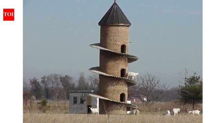 Goat Tower: Why an Illinois farmer built this 31-foot tower specifically for goats | World News

