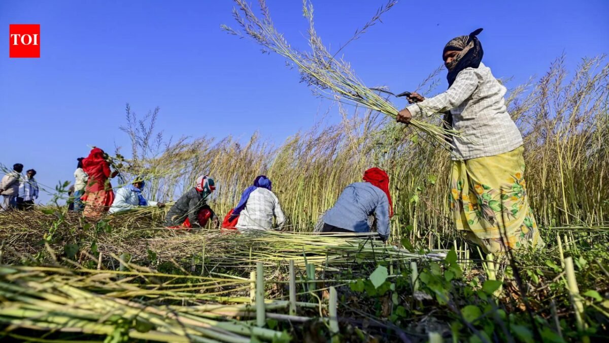 Grains for all: UP promotes food security through technology, nutrition and strong procurement systems