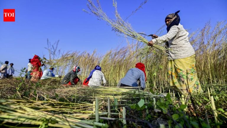 Grains for all: UP promotes food security through technology, nutrition and strong procurement systems