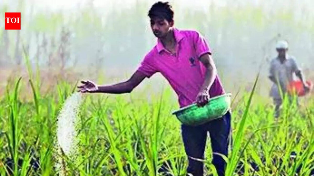 Gulf conflict: LNG crunch could hit urea output ahead of Sharif season