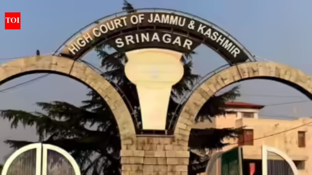 HC quotes Einstein to lift PSA detention, Omar's lawyer son wins case
