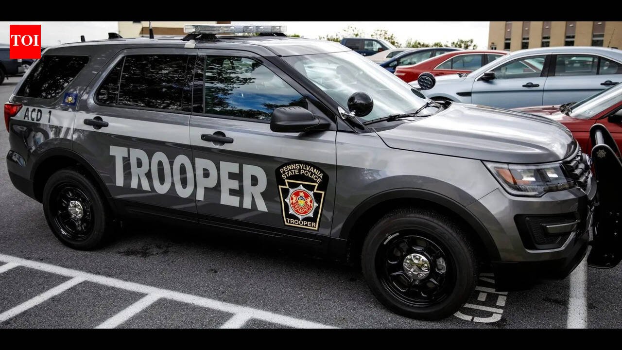 Harshpreet Singh, an Indian man, admitted to illegally possessing firearms in the United States. But this is just the tip of the iceberg