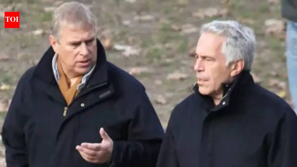 Historian reveals why Epstein still haunts royal family: 'The problem is the British government...'
